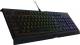 Razer Holiday Bundle (RZ85-02260200-B3M1) 4
