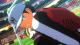 Captain Tsubasa - Rise of new Champions PS4 19