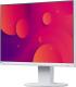 Monitor Eizo FlexScan EV2460-WT 1