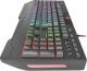 Klawiatura Genesis Rhod 600 RGB US (NKG-1072) 6