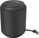 Głośnik Tronsmart T6 Mini czarny (364443) 1