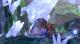 Trollhunters: Defenders of Arcadia Premiera Xbox One 4