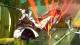 Guilty Gear Strive PS4 3