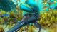 Subnautica Below Zero Xbox Series X 3