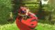 Monster Hunter Stories 2: Wings of Ruin Nintendo Switch 4