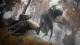 Elden Ring Edycja Premierowa PS4 6