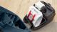 Odkurzacz Bosch Serie 6 ProFamily BGL6FAM1 6