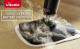 Mop parowy Vileda Steam Plus 14