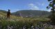 Warhorse Studios Kingdom Come Deliverance Royal Edition (XSX) 4