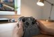 Galopi Podstawka na Pada Nintendo Switch Pro Link Zelda Druk 3D 3