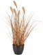 Direct Home and Garden Sztuczna roślina w doniczce Trawa Piaskowa 50cm 1