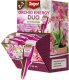 Target Orchid Energy Duo do storczyków 35ml 2