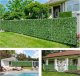 Garden King Żywopłot sztuczny bluszcz na balkon ściankę Hedera Quatro 100 x 100 cm 3