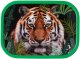 Mepal Lunch Set Campus Wild Tiger (107410165402) 3