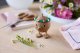 Hoptimist figurka Flower Bumble S Oak 38308 5
