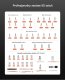 Delphi Tools Klucz dynamometryczny 1/4 2,3-27Nm z bitami i nasadkami do roweru 3