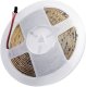 PSmart PSMART Cyfrowa Taśma LED SMD 24V WS2811 MONOIC 3000K IP65 10mm 120led/m 5m 2