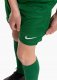 Nike Park VIII HV8260-302 2
