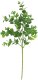 Direct Home and Garden Sztuczna bukiet eukaliptus 47 cm 1
