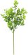 Direct Home and Garden Sztuczna bukiet eukaliptus 47 cm 2