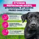 Eukanuba EUKANUBA Active Adult Medium Breed Chicken 12kg 4