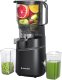 Wyciskarka wolnoobrotowa Amzchef SJ-036CBK (czarna) (CE-SJ-036C-BK) 3