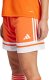 Adidas adidas Squadra 25 pomarańczowe JC8660 2XL 4