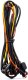 Einparts Automotive EINPARTS LAMPA DUOLIGHT DL13 DRL + FOG 2W1 DO DODGE DAKOTA DURANGO Z BARWĄ 8