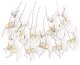 Lampki choinkowe Decoking Lampki świąteczne LED DecoKing renifery 10 LED 8