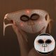Silkn Silk'n Facial LED Mask Pro (FLMP1PE1001) 7