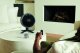 Wentylator Shark FlexBreeze TableMate SN (FA150EU) 6