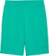 Puma Spodenki męskie ESS No.1 Logo 10" (s) zielone 682595 40 L 2