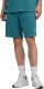 Puma Spodenki męskie ESS Elevated Relaxed zielone 692021 41 L 1