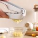 Zyliss Handle garlic press, Stainless steel, Aluminium, Stainless steel, 36.1 mm, 65 mm, 185.9 mm (E960016) 2