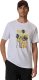 4f Koszulka męska M2784 biała 4FWSS26TTSHM2784 10S 3XL 1