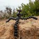 Statyw Joby Gorillapod 1K Kit Gen2 (JB0013MT) 5