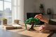 Galopi Ruchomy Kameleon na Gałęzi Figurka 3D 3
