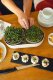 Zestaw do uprawy mikroliści 30.5x16 cm beżowy URBALIVE Microgreens 4