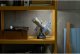 LEGO Icons Kosmiczny Teleskop Hubble’a (11382) 9