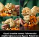 LEGO Pokemon Arcanine (72160) 4