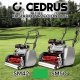 Cedrus Kaseta wertykulator skaryfikator kosiarka wrzecionowa Cedsm50 Cedrsm12 4