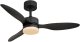 Wentylator Globe Sufitowy LED 20W Blackwell Czarny Globo 2