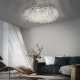 Lampa sufitowa Paul Neuhaus Ricicle 6054-17 2