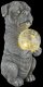 PowerNeed Lampa Solarna Dekoracyjna LED Pies Solar 33889 Globo 3