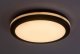 Aptel Lampa sufitowa zewnętrzna LED INDRE 28W 77035 Rabalux 5