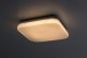 Rabalux Lampa sufitowa zewnętrzna LED 12W Lowar 77134 5