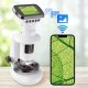 NoboKids Mikroskop dla Dzieci Cyfrowy Elektroniczny WIFI Ekran LCD 1000x (5904665405963) 3