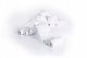 Tekson Papier do tachografu cyfrowego uniwersalny 1 karton (3 rolki) - 20 szt. (5906142979141) 15