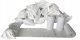 Tekson Papier do tachografu cyfrowego uniwersalny 1 karton (3 rolki) - 20 szt. (5906142979141) 6
