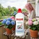 EkoDarPol Biohumus Extra Hortensja 0,7L (5906142984299) 8